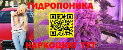 мяу мяу мука Усть-Илимск
